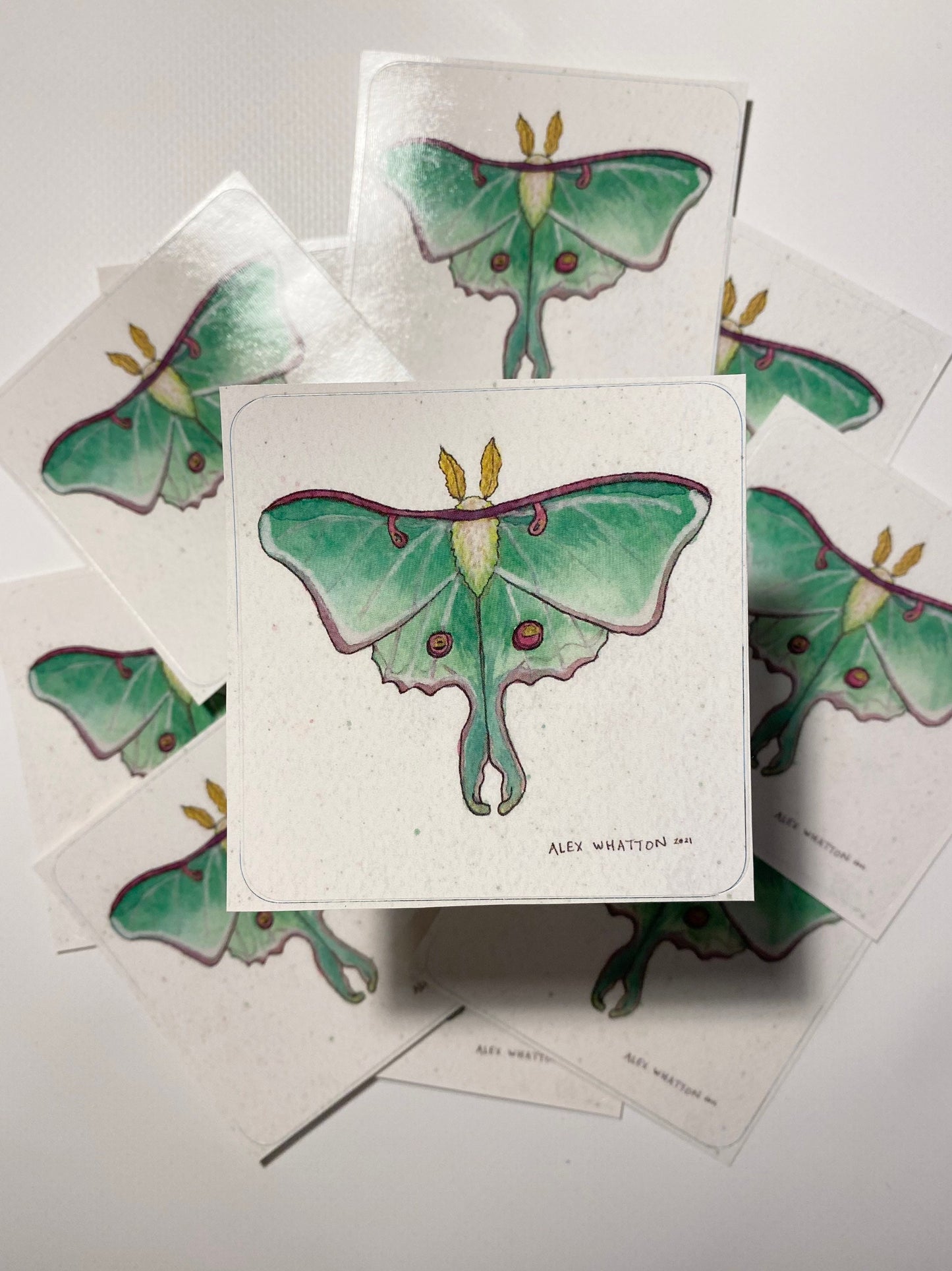 Luna Moth - Square Sticker