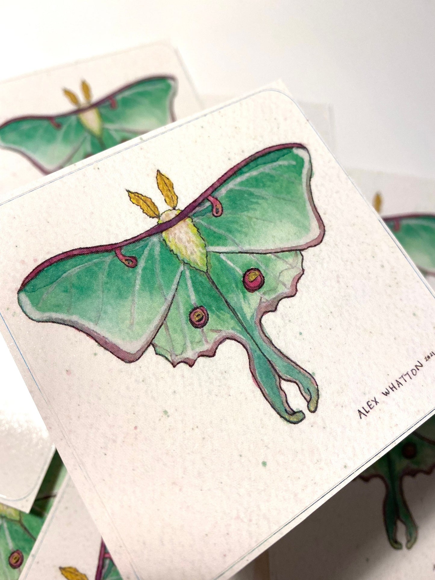 Luna Moth - Square Sticker