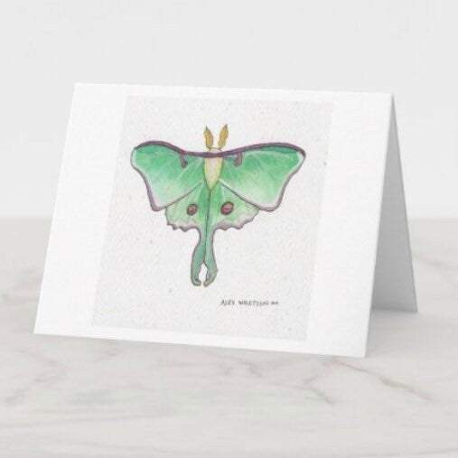 Luna Moth Greeting Card