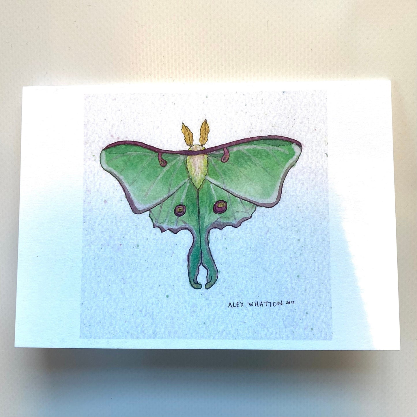 Luna Moth Greeting Card