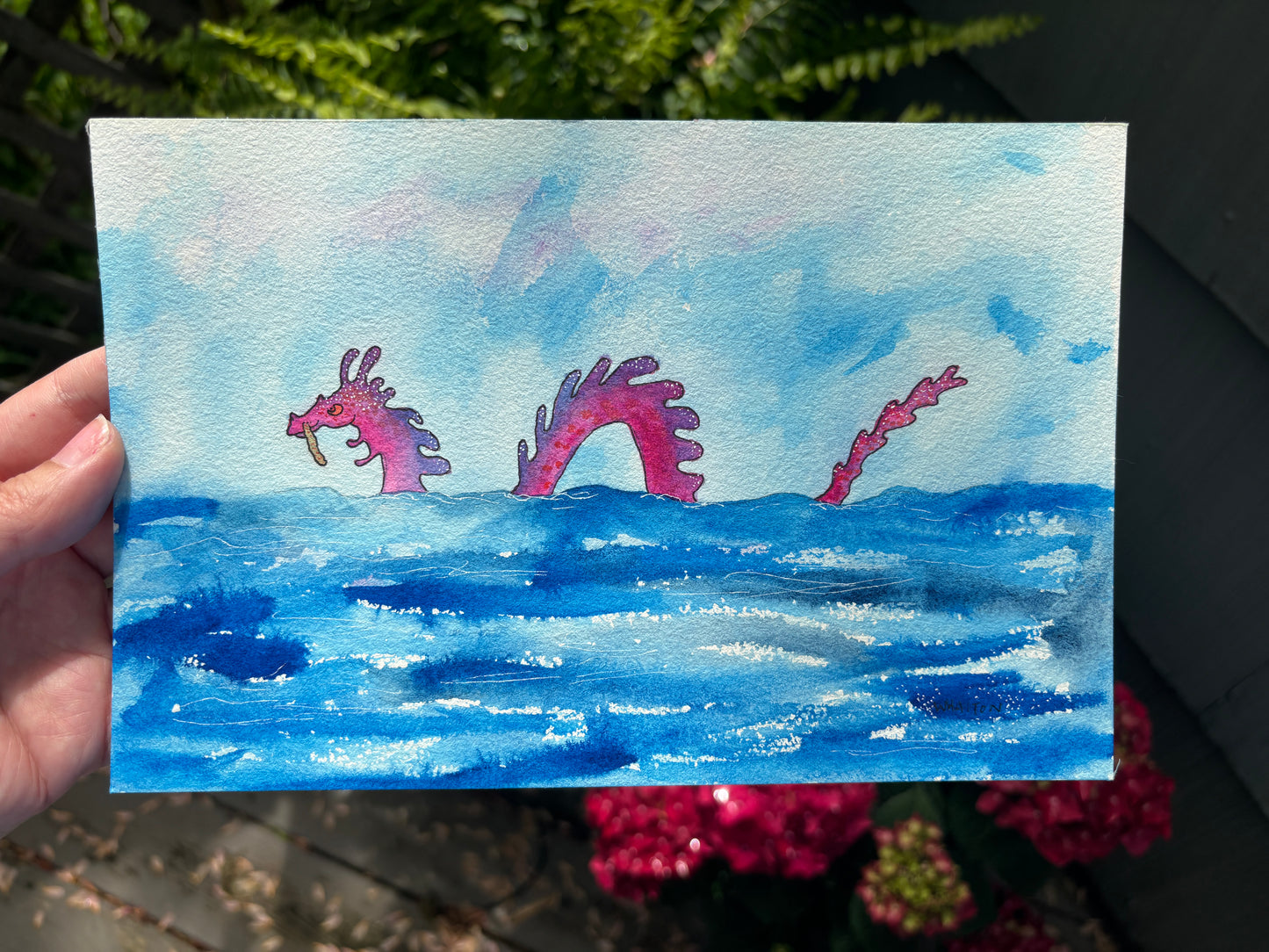 Sea Dragon