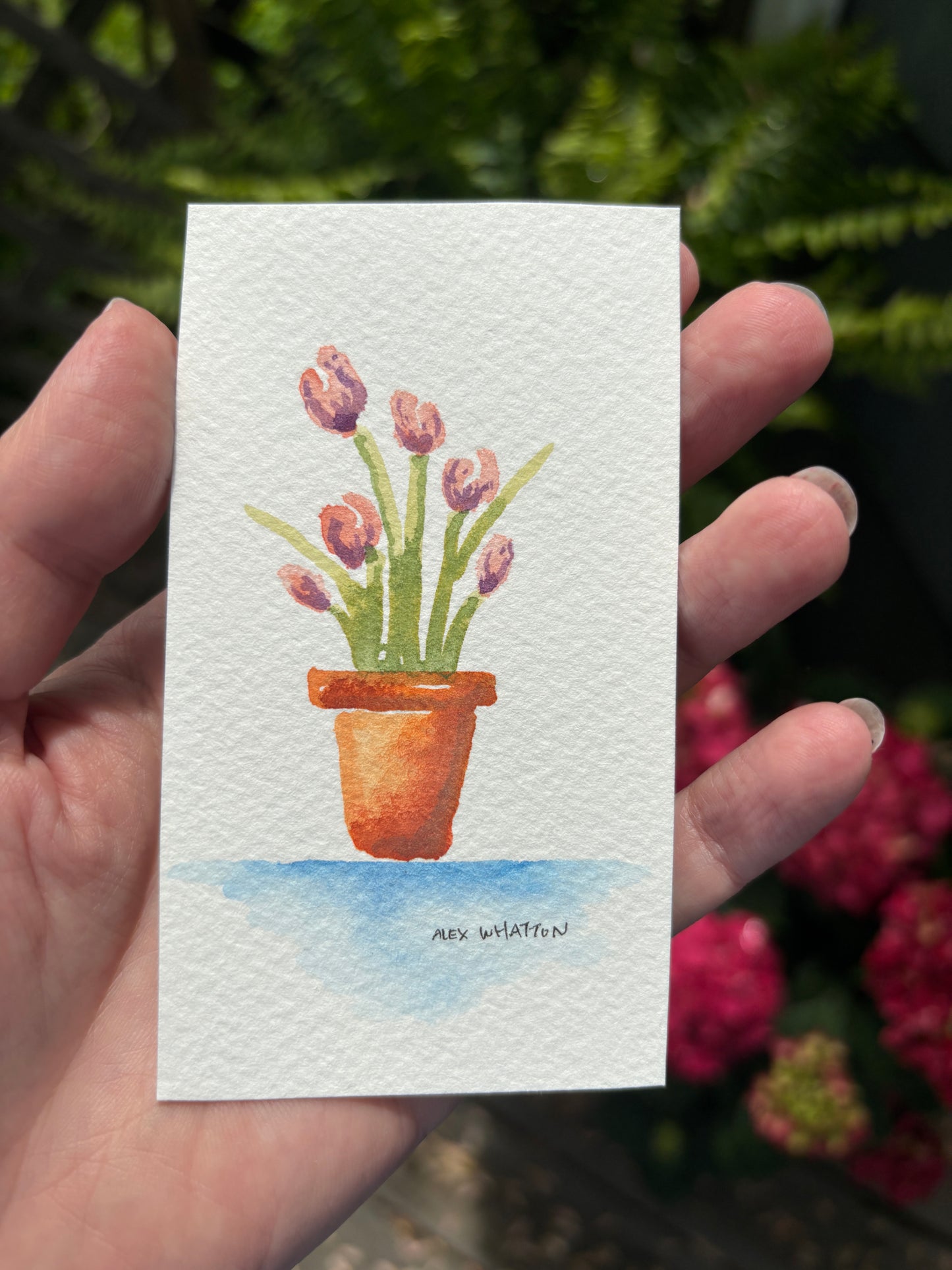 Mom’s Tulips