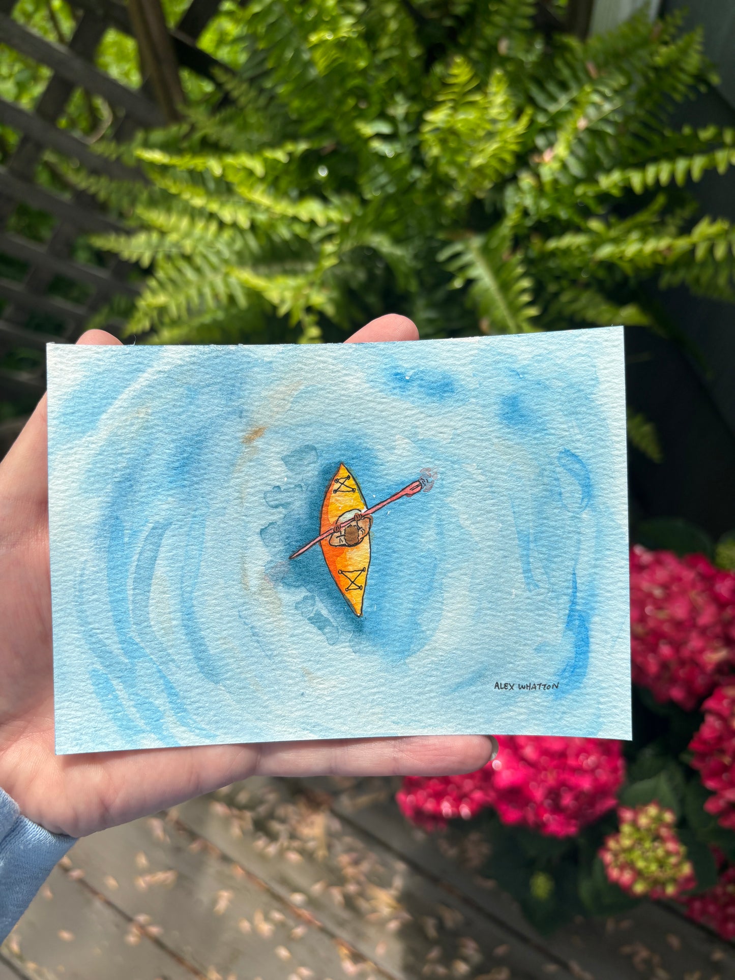 Kayak Postcard