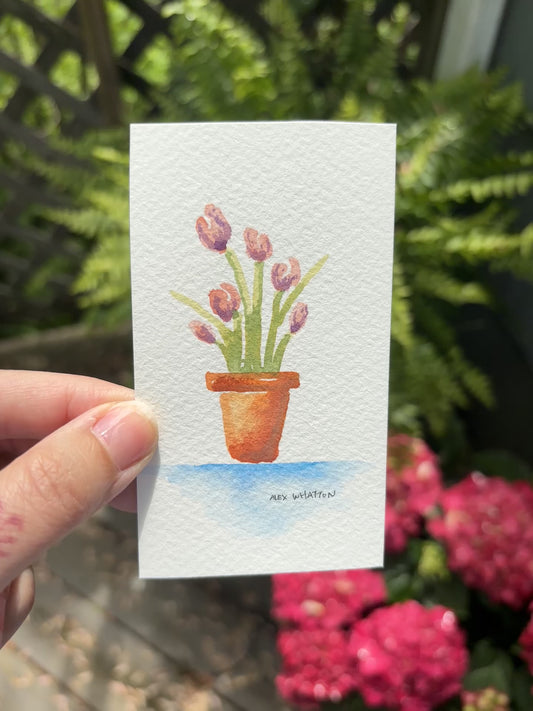 Mom’s Tulips