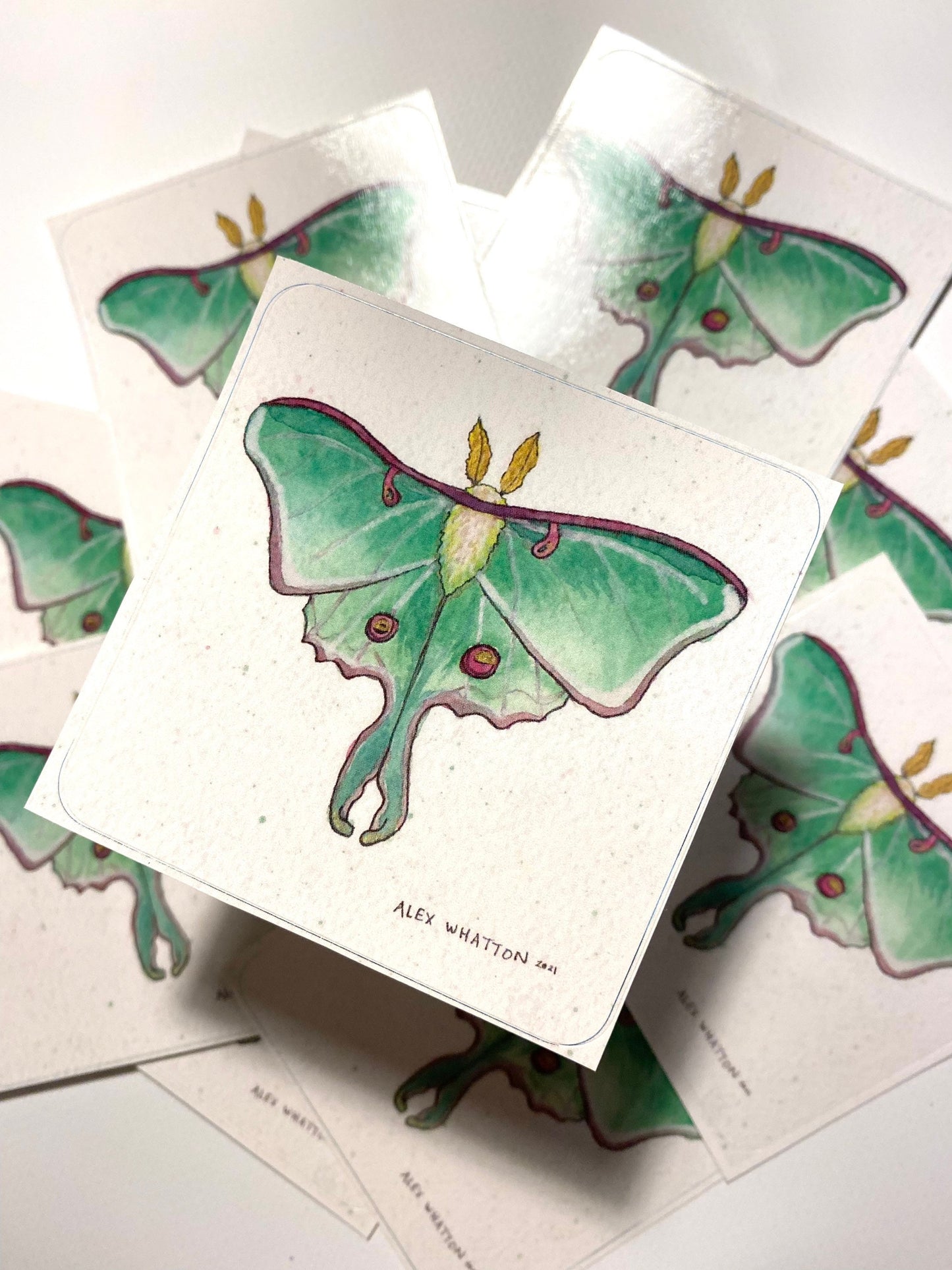 Luna Moth - Square Sticker