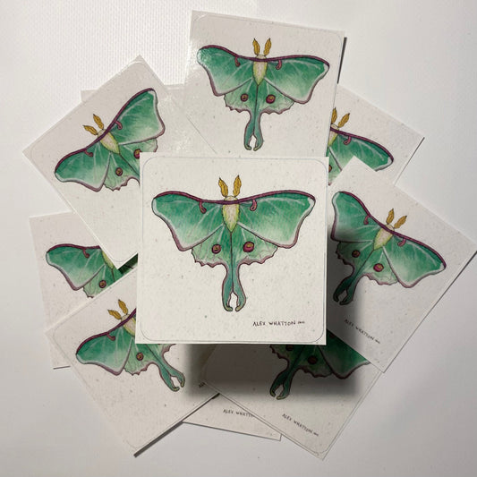 Luna Moth - Square Sticker