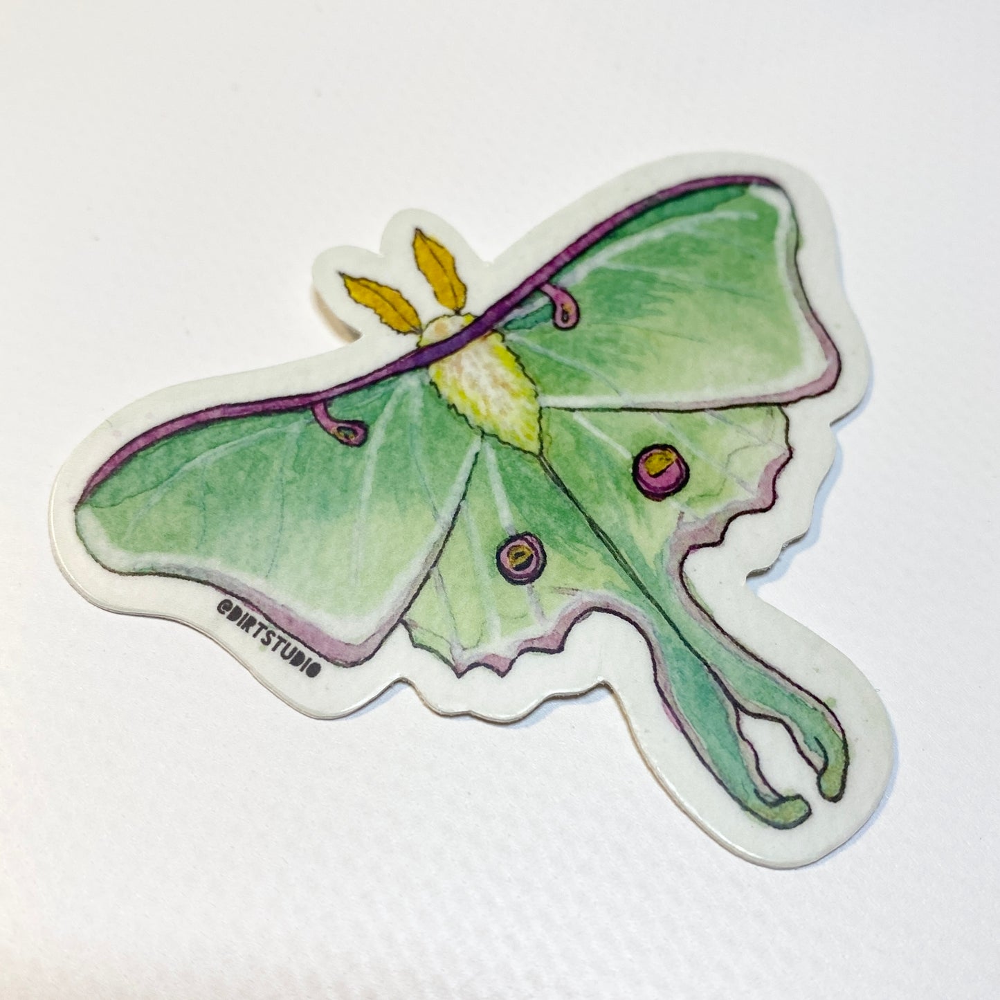 Luna Moth - Die Cut Stickers